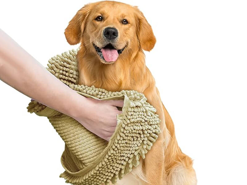 Wipe-the-puppy's-body