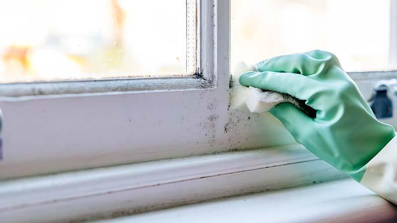 cleaning mold on window sills